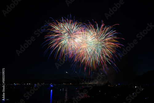 Fireworks in the night sky