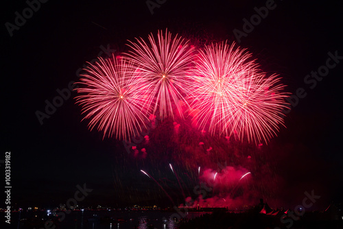 Fireworks in the night sky