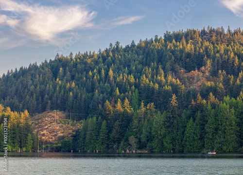 Nanaimo Westwood lake summer