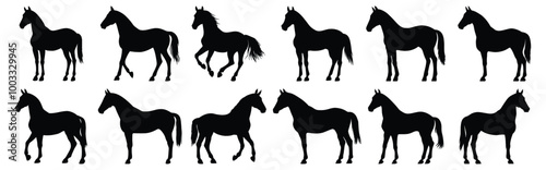 Horse silhouettes set, animal pack of vector silhouette design, isolated background.