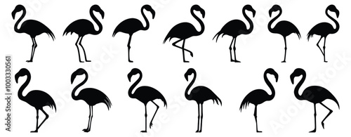 Flamingo silhouette set vector design big pack of bird illustration and icon