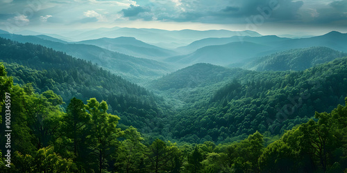 Fototapeta Naklejka Na Ścianę i Meble -  Green Forest Mountain Landscape Photo