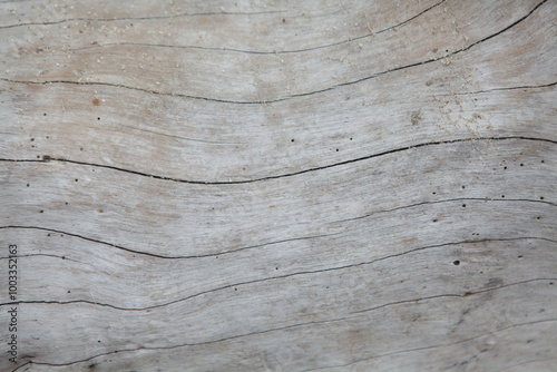 Gray wood ocean driftwood background texture, smooth beach wood
