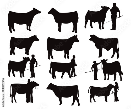 Print Show Heifer Silhouette: show heifer EPS: Livestock , Farm Animal EPS File, Show Heifer, Show Steer Bundle, Show Cattle 
