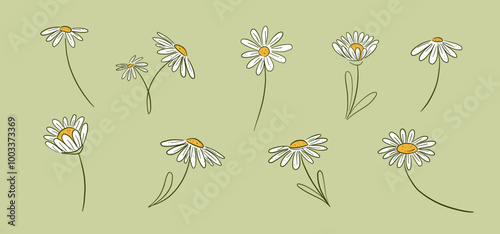 daisy flower doodle hand drawn vector illustration collection