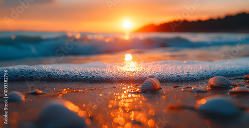 The sun is setting over the ocean, casting a warm glow on the sand and shells