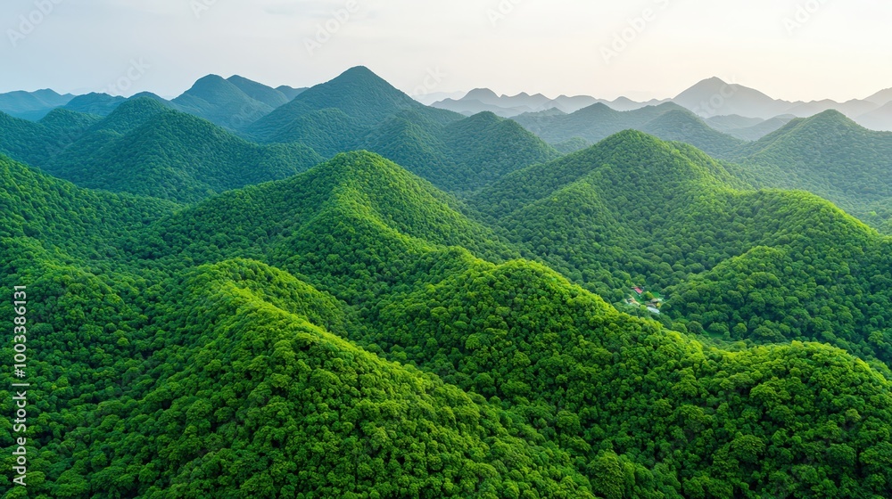 Fototapeta premium Lush Green Mountain Range Landscape Aerial View of Forested Hills