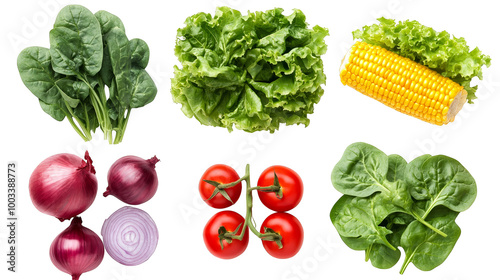 Fresh Vegetables  Salad Ingredients  Spinach  Lettuce  Tomatoes  Corn  Onions