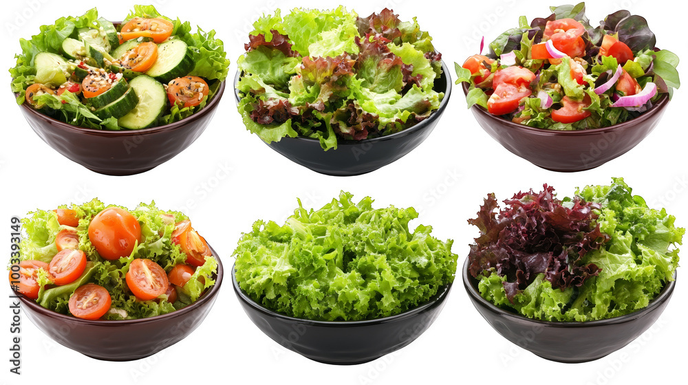 Fresh Salad Bowls with Lettuce  Tomatoes  Cucumbers and Red Onion