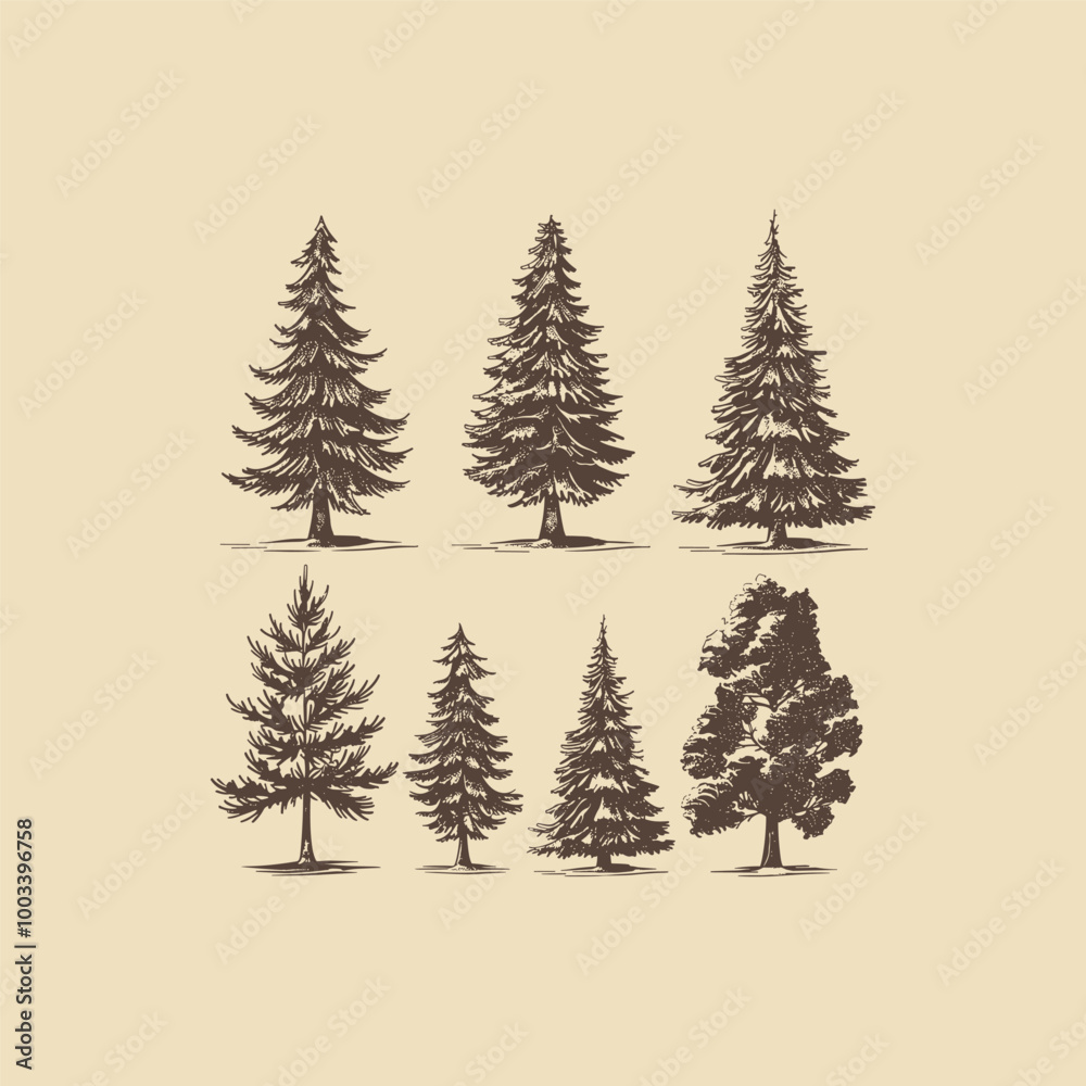 Obraz premium set of pine tree engraving style vintage design vector illustration