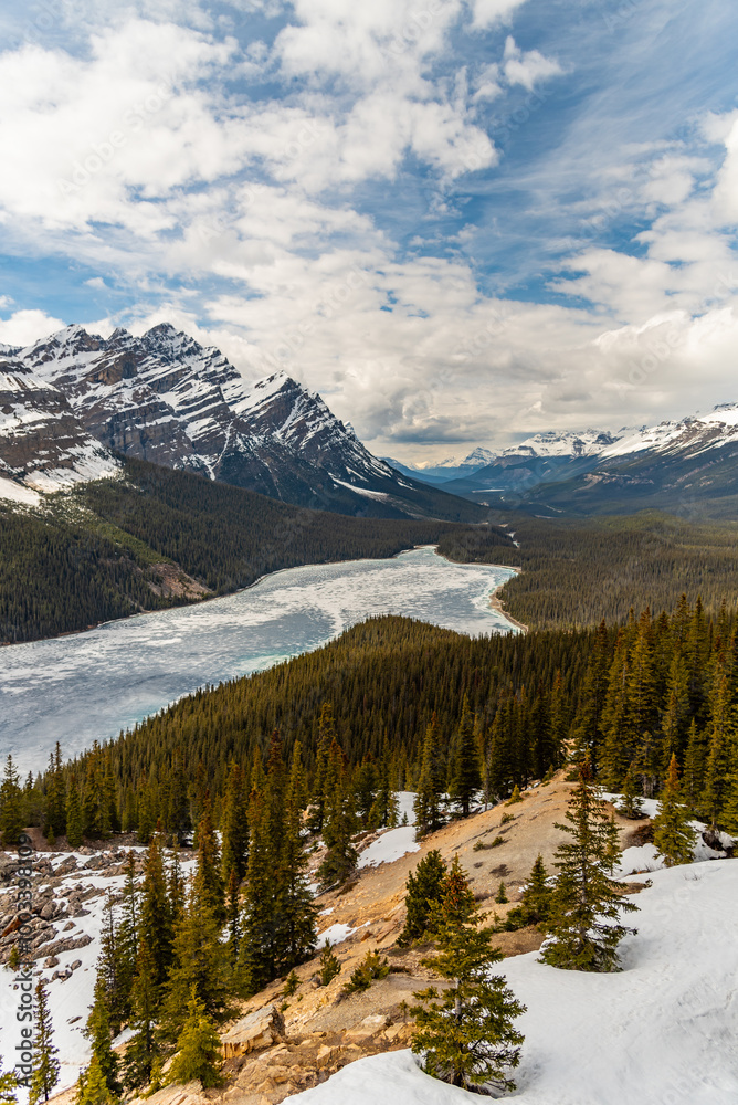 Incredible spring time scenes at Peyto Lake in the Canadian Rockies during May with incredible bright blue colours in lake below massive snow capped mountians and boreal forest. Incredible spring time scenes at Peyto Lake in the Canadian Rockies during May with incredible bright blue colours in lake below massive snow capped mountians and boreal forest.