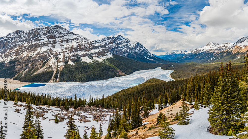 Incredible spring time scenes at Peyto Lake in the Canadian Rockies during May with incredible bright blue colours in lake below massive snow capped mountians and boreal forest. Incredible spring time scenes at Peyto Lake in the Canadian Rockies during May with incredible bright blue colours in lake below massive snow capped mountians and boreal forest.