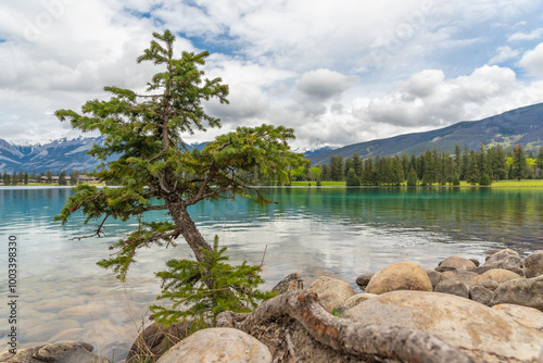 Stunning scenes around Beauvert Lake in Jasper National Park with incredible beautiful colours in water surrounding the popular area of the Canadian Rockies, Canada.