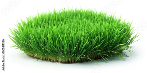 Vibrant green grass isolated on a white background, perfect for 3D rendering and graphic design projects. Ideal for adding natural elements to your designs.