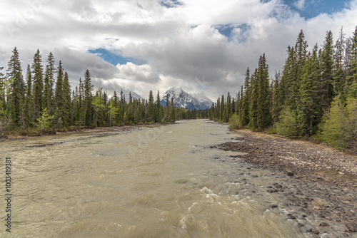 Stunning view of the Athabasca River outside of Jasper National Park during spring time in Alberta, Canada with snow capped mountain, glacial silt river and boreal forest Canadian scenic view. photo