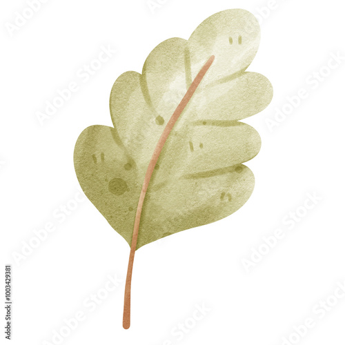 leaf