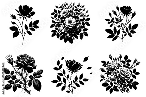 Rose Silhouette Vector Bundle Illustration. Wild Rose Silhouette Vector Set Isolated on white background. 