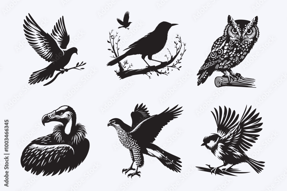Obraz premium Creative 6 Birds silhouette vector style with white background