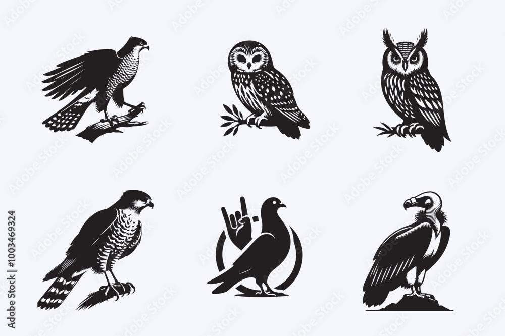 Obraz premium Creative 6 Birds silhouette vector style with white background