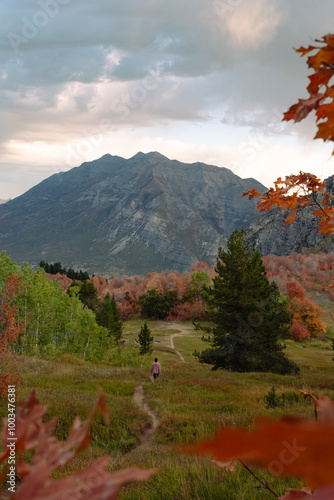 Buffalo Peak photo