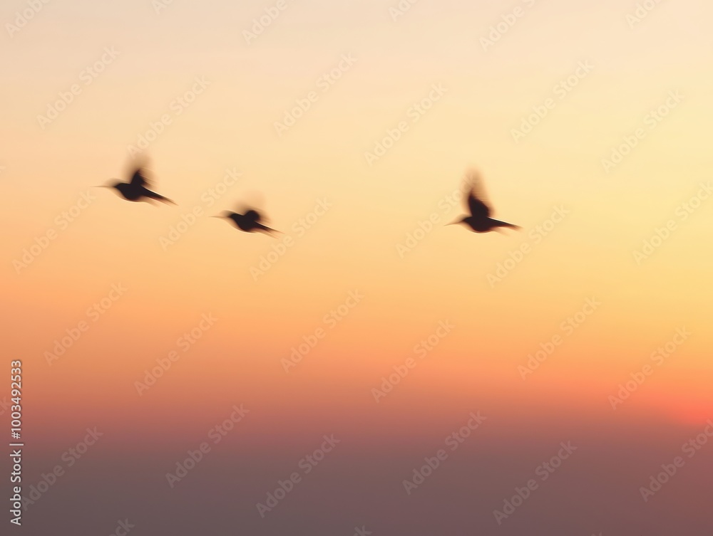 Fototapeta premium Birds fly into sunset