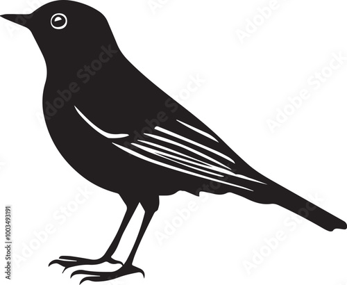 silhouette of a robin