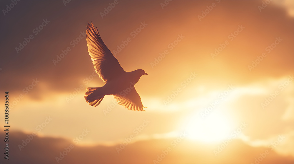 Fototapeta premium A dynamic shot of a bird flying across a sunset-lit sky