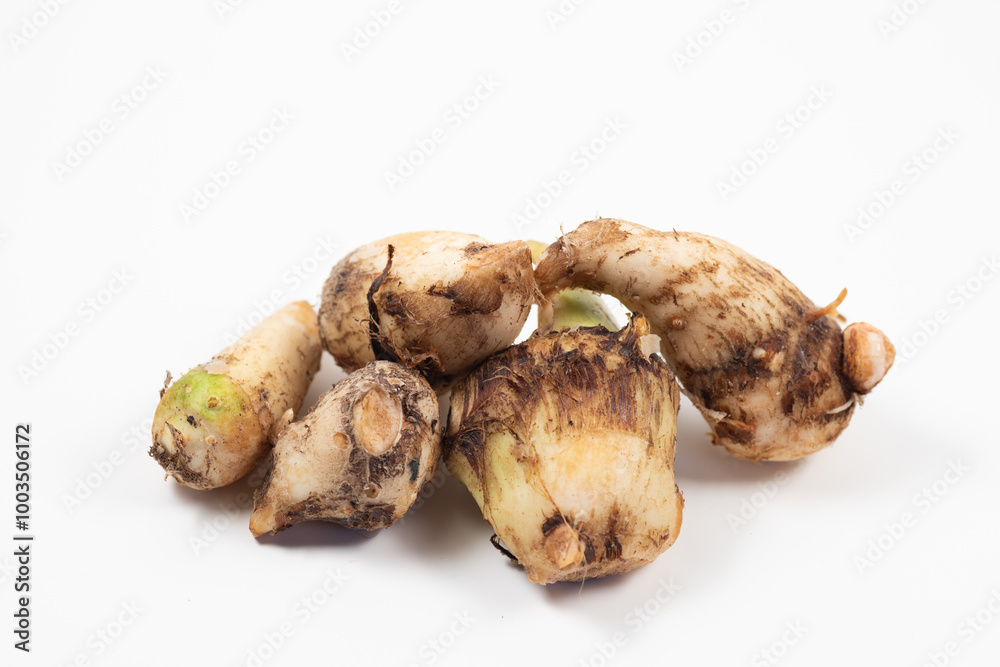 Taro (Colocasia esculenta) harvested in Japan in autumn