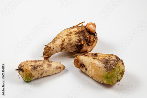 Taro (Colocasia esculenta) harvested in Japan in autumn photo