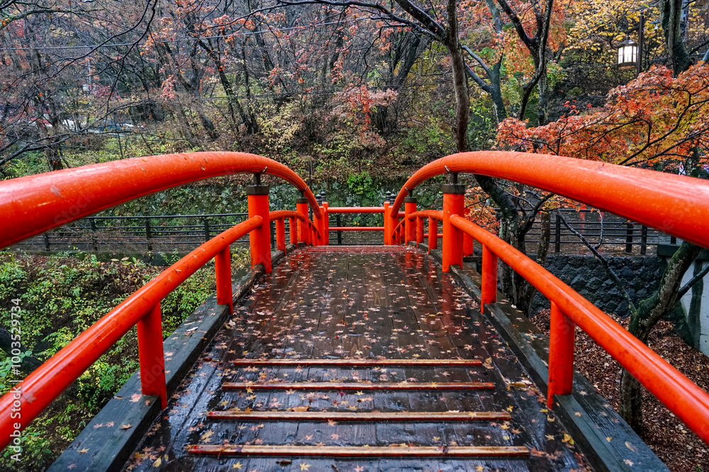 晩秋の伊香保温泉 河鹿橋の紅葉(群馬県渋川市) 晩秋の伊香保温泉 河鹿橋の紅葉(群馬県渋川市)