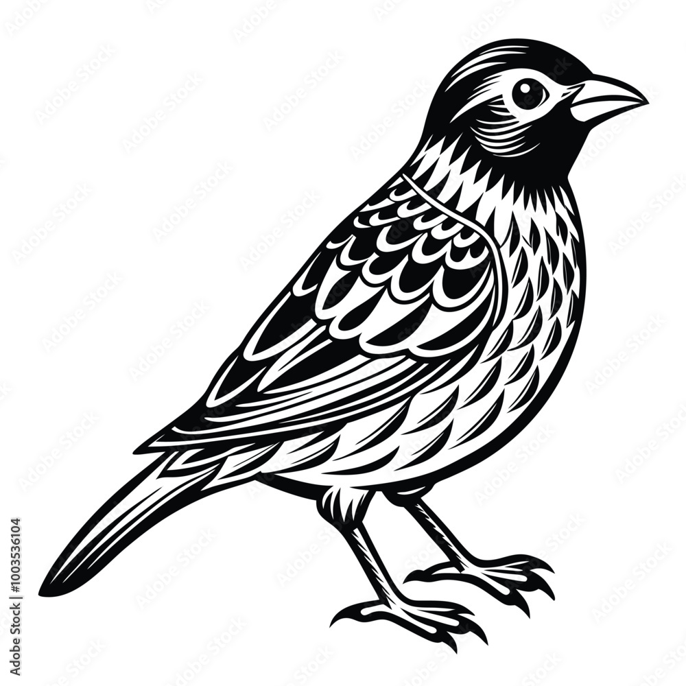 Fototapeta premium bird silhouette vector art white background.