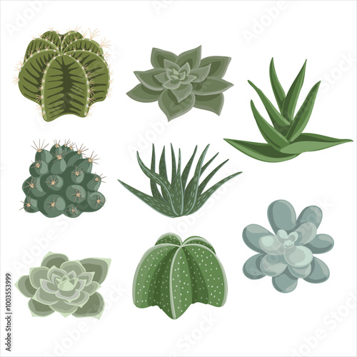 vector drawing set of house plants, succulents isolated at white background, hand drawn illustration