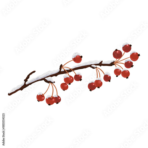 appletree, tree branch with fruits in winter with snow, isolated at white background, hand drawn illustration