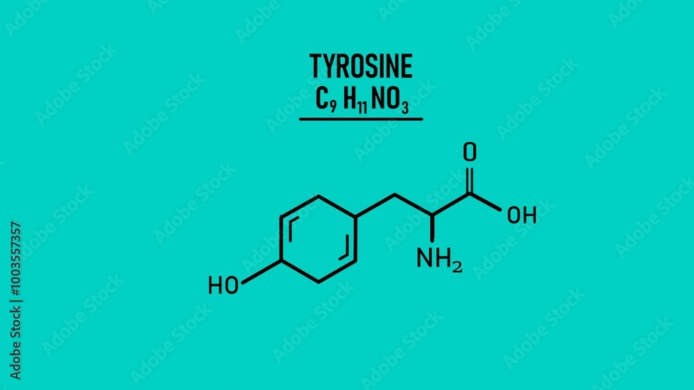 Naklejka premium Tyrosine molecular structure. L-Tyrosine skeletal chemical formula.