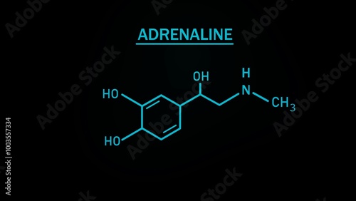 Adrenaline or epinephrine hormone chemical structure photo