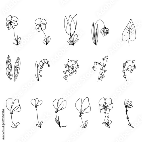 floral, organic vector isolated set 