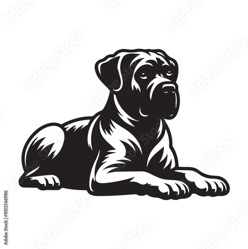 Cane Corso Dog Sitting Vector illustration black and white
