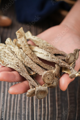 hand holding dried lyophyllum decastes on table. photo