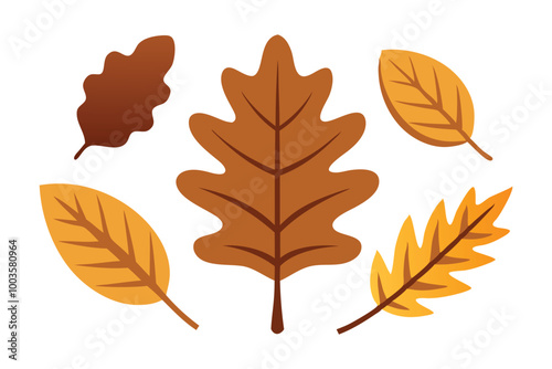  Clipping pathsingle dried oak leaf flat vector illustration set white background. photo