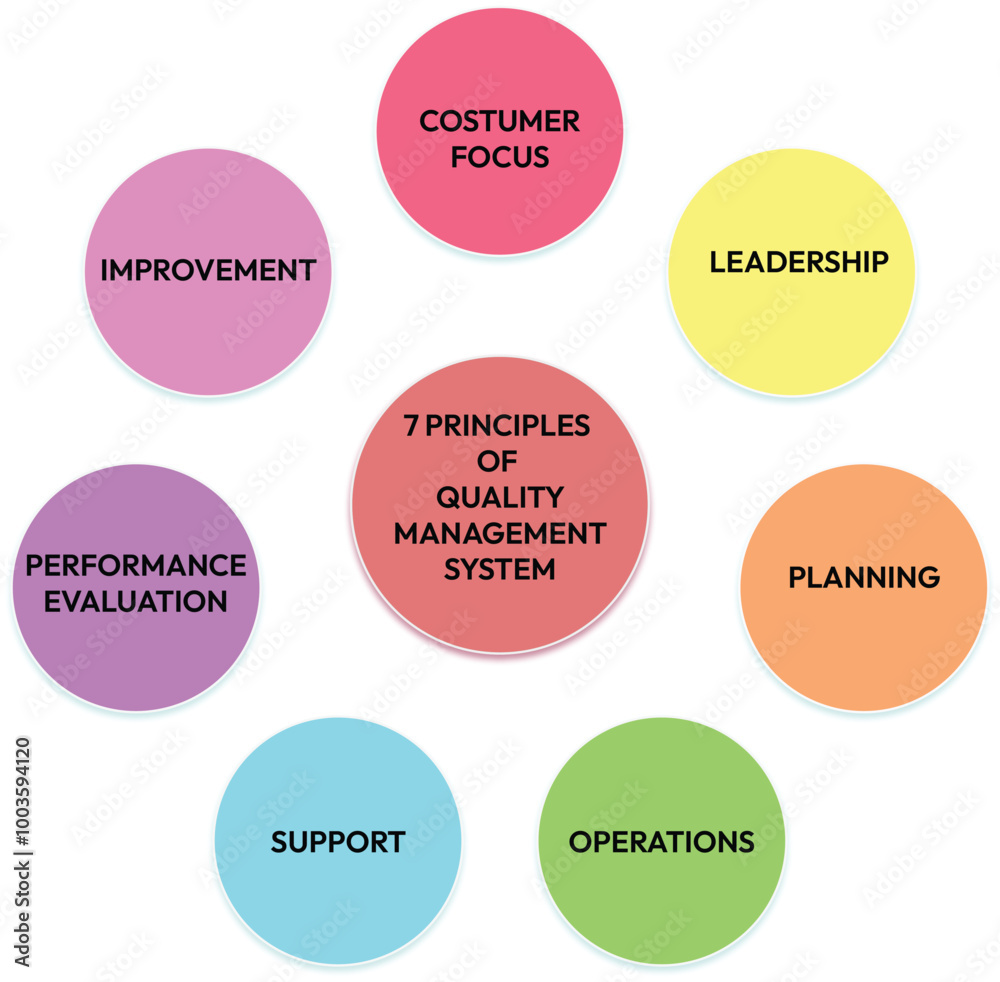 Principles of quality management system Principles of quality management system