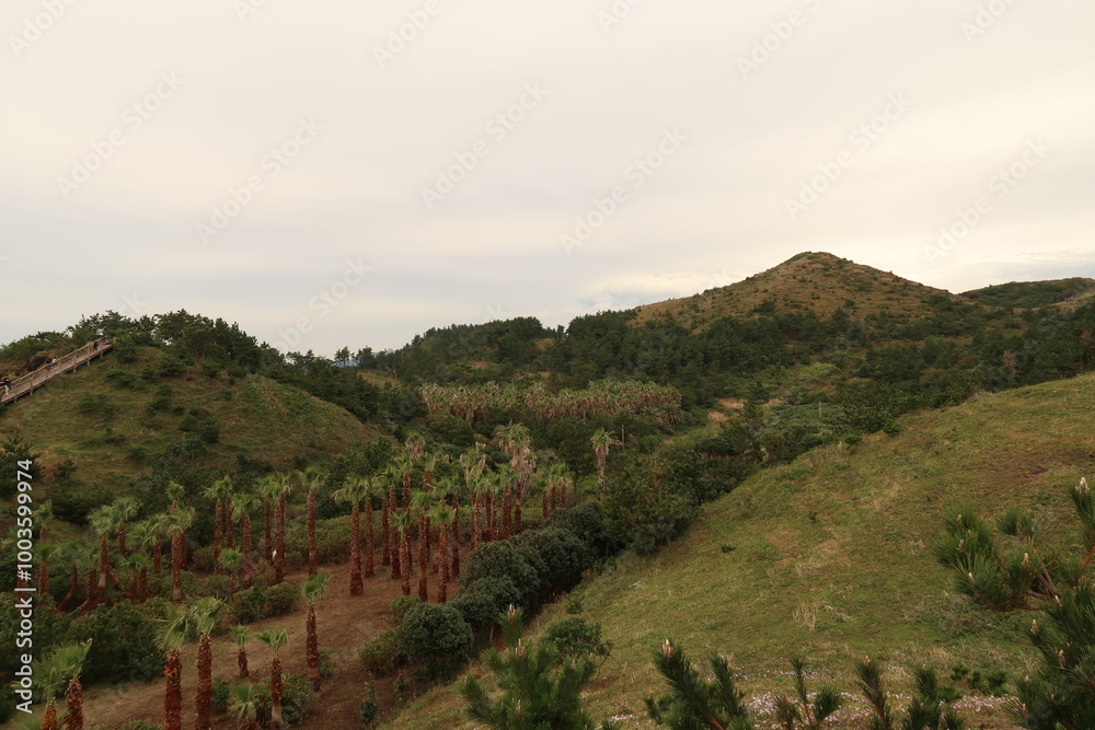 Naklejka premium landscape with trees