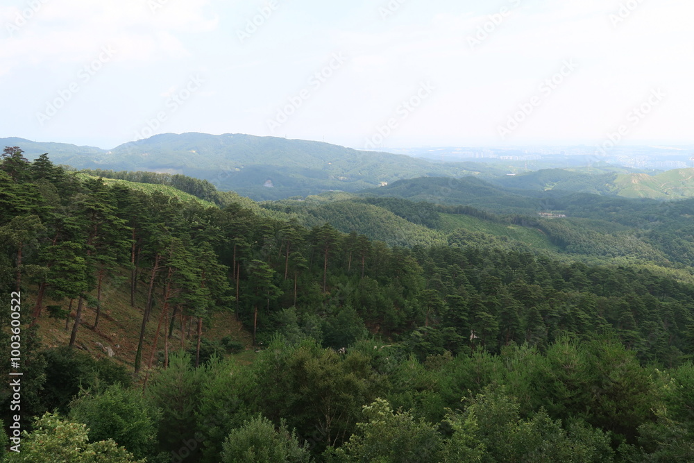 Fototapeta premium view from the mountain