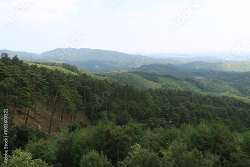 view from the mountain