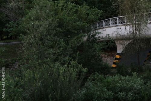 bridge over the river