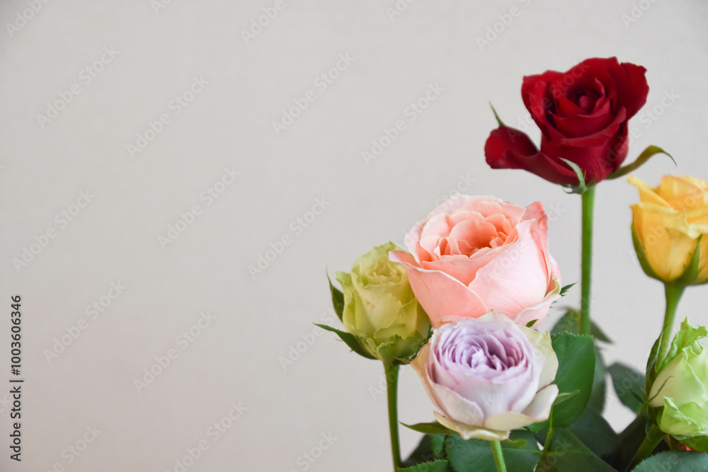 カラフルな薔薇 カラフルな薔薇