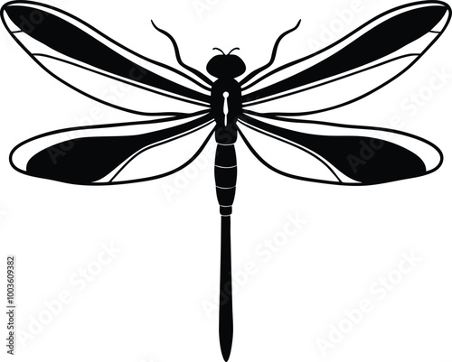 Minimalist Dragonfly Line Art