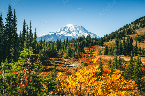 Tablou pe pânză Woman is walking along Naches Peak Loop Trail with a view of majestic Mount Rainier, autumn colors in Mt