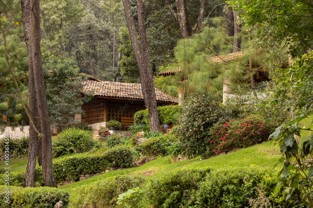 Afternoon view of cabins in a forest in Mazamitla, Jalisco, Mexico. Afternoon view of cabins in a forest in Mazamitla, Jalisco, Mexico.