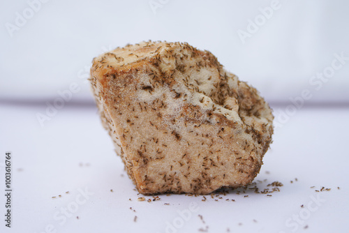 Ants Swarming on Jaggery Piece, Jaggery Infested with Ants Close-up, Sugar Ants Crawling on Jaggery, Jaggery with Ants Swarming Over It, Ants on a Sweet Jaggery Block Stock Photo.
 photo