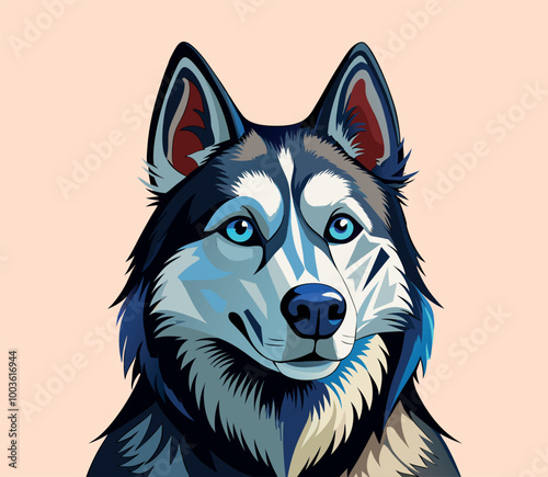 husky dog portrait